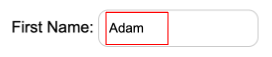 Type Adam as the input value